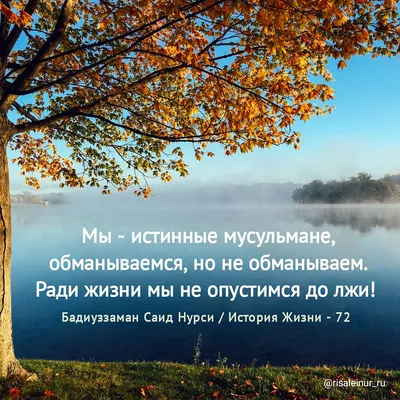 31.4 Три случая, когда дозволена ложь (или таурия). Хадис 249 | Сады  праведных - YouTube