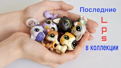 Пин от пользователя lps alex2003 на доске Littlest pet shop customs |  Котята, Хаски, Кошки