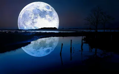 Обои ночь, луна, река на рабочий стол