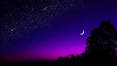 Обои луна, дерево, звездное небо, ночь, звезды, темный картинки на рабочий  стол, фото скачать бесплатно