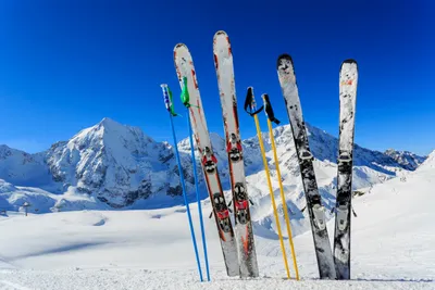 Экипировка для беговых лыж — купить с доставкой, цены в интернет-магазине  Спортмастер