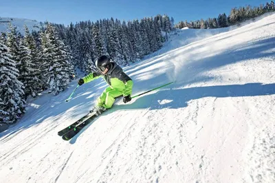Беговые лыжи - купить с доставкой, цены на экипировку лыж, отзывы в  интернет-магазине СпортРесурс