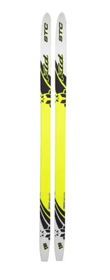 Беговые лыжи по лучшей цене, купить беговые лыжи в Киеве и Украине |  Интернет-магазин EKIP-SPORT