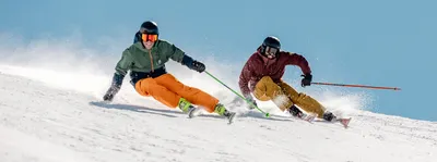 Горные лыжи - купить горные лыжи в Москве по низким ценам в каталоге  официального интернет магазина HEAD