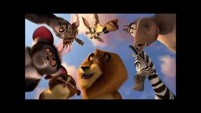 Мадагаскар песня - YouTube