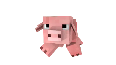 Minecraft Tropical Fish PNG Image | OngPng