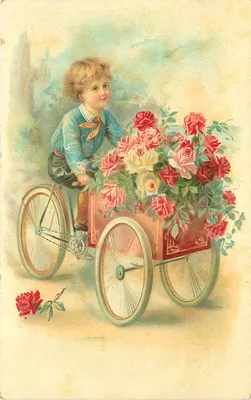 Мальчик с розой красного цвета Стоковое Фото - изображение насчитывающей  удерживание, отпразднуйте: 28530506