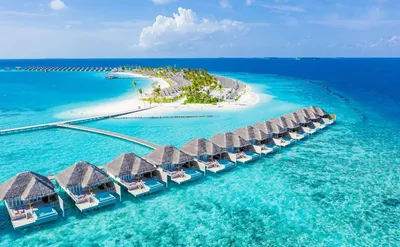 Подробно и популярно об отдыхе на Мальдивах от экспертов ANEX Tour |  Ассоциация Туроператоров