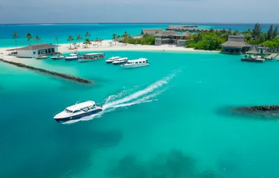 Курорт Мале (Мальдивы). Цены на туры 2024