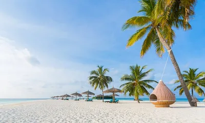 Пляжи Мальдив 2024 ☀️ Фото, описание, туры
