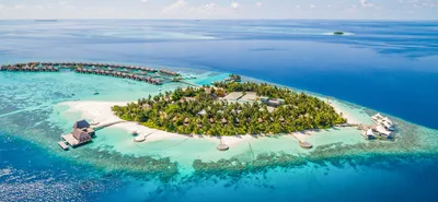 Правила въезда на Мальдивы в 2024 году для россиян: нужна ли виза,  декларация здоровья и другие документы