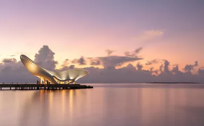 ANEX начал продавать чартерные туры на Мальдивы на осень и зиму |  Ассоциация Туроператоров