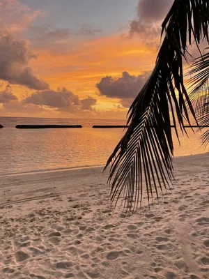 Мальдивы закат | Sunset photography, Sunset pictures, Beach sunset wallpaper