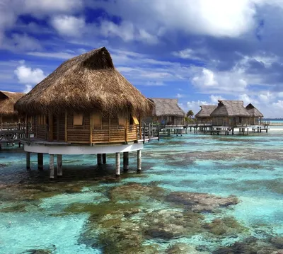 Мальдивы отели и экскурсии | AFRICA TRAVEL