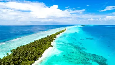 Почему стоит отправиться на отдых на Мальдивы