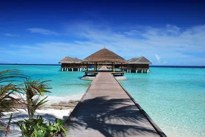 Бунгало на Мальдивах — отели в океане: подробности, фото, описание