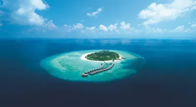 Мальдивы – новости и статьи по тегу | Forbes.ru