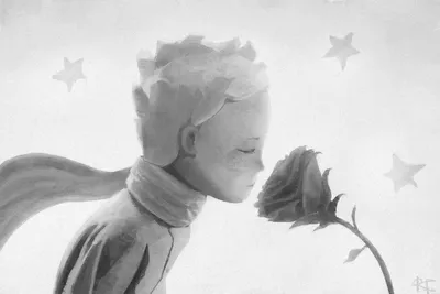 милый мультфильм-мальчик на качелях. Маленький принц и пчел. страница для  книги раскраски Иллюстрация вектора - иллюстрации насчитывающей  иллюстрация, пушисто: 266736522