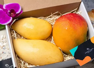 В чем польза манго для женщин – Экзотические фрукты Mango Лавка Москва