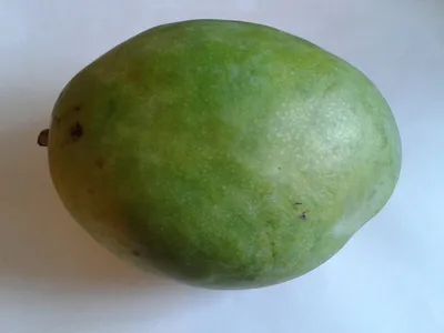 Mango | манго | Фрукты, Экзотический фрукт, Манго