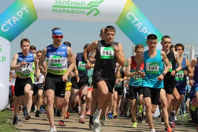 Новосибирцев позвали на юбилейный зеленый марафон Сбера - 26 апреля 2023 -  НГС