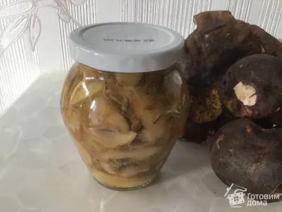 Белые грибы маринованные - пошаговый рецепт с фото на Готовим дома