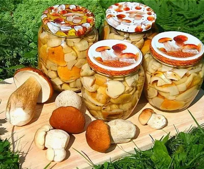 Рецепт консервации белых грибов — маринад для белых грибов — лучшие рецепты  - Телеграф