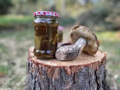 Маринованные белые грибы на зиму - как приготовить - Новости