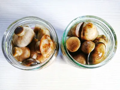 Маринованные белые грибы на зиму без уксуса рецепт фото пошагово и видео -  1000.menu