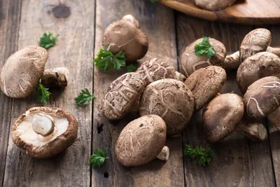 Маринованные белые грибы с чесноком - пошаговый рецепт с фото на Повар.ру