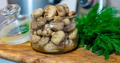 Быстрый рецепт маринования белых грибов за 1 день