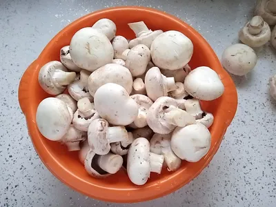 Как замариновать белые грибы - подробный рецепт с фотографиями