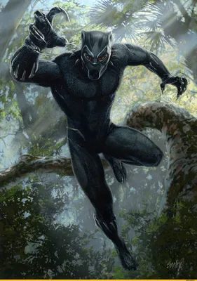 Black Panther,Черная пантера, Т'Чалла,Marvel,Вселенная Марвел,фэндомы,Black  Panther (фильм),Чёрная Пантера… | Black panther art, Black panther marvel,  Black panther