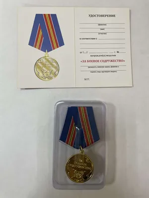 В ДНР учреждена юбилейная медаль, посвященная годовщине принятия региона в  РФ - Общество - ДАН