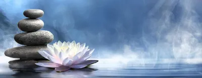 Йога и медитация. | Советы | Дзен