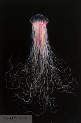 Медуза Jellyfish большая Ø10см со светящимся эффектом арт.AM001