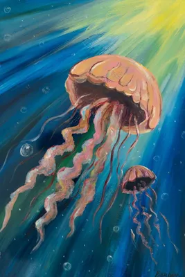 Нашествие медуз на пляжи Лазурного берега