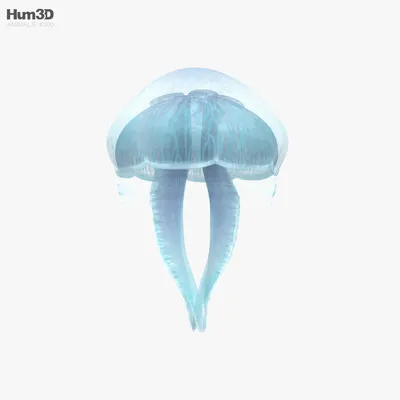 ИЗВЕРЖЕНИЕ , медуза кислотная creative…» — создано в Шедевруме