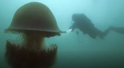 Медуза искусственная в аквариум большая 10 см, зеленая купить