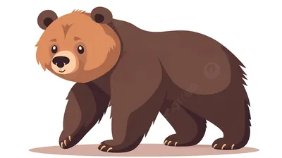 Белый медведь Бурый медведь, медведь, млекопитающее, животные, хищник png |  PNGWing