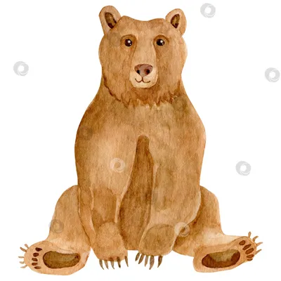 ⬇ Скачать картинки Медведь, стоковые фото Медведь в хорошем качестве |  Depositphotos