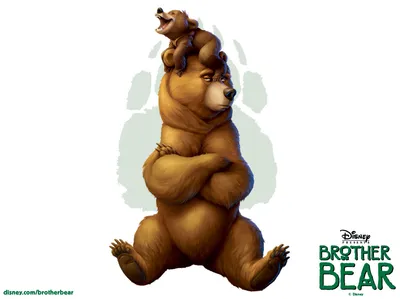 Большой Бурый Медведь Изолирован На Белом Фоне Хищник — стоковые фотографии  и другие картинки Медведь - iStock