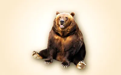 Медведь диких животных идет на вид спереди изолированного на белом фоне  Иллюстрация штока - иллюстрации насчитывающей преобладайте, американская:  201384371