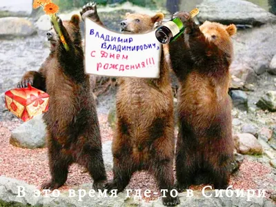 Купить конверт деревянный С Днем Рождения! медведь с шарами, цены на  Мегамаркет | Артикул: 100032033226