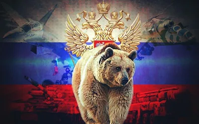 Медведь символ россии картинки - 61 фото