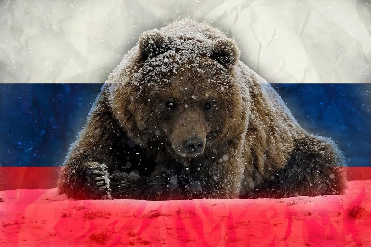 Про россию забудь. Русский медведь. Медведь символ России. Медведь на фоне российского флага. Красивый медведь.
