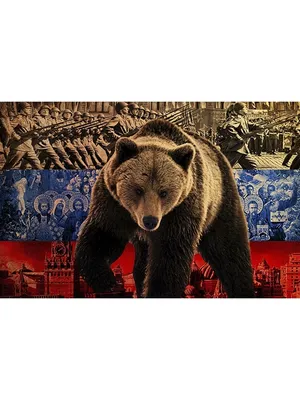 Картина для интерьера Бурый медведь национальный символ России, символ РФ  (25) 60х80 - купить по низкой цене в интернет-магазине OZON (892112179)