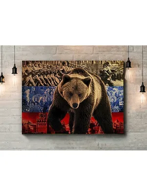 BB.lv: Символ России – медведь, кто бы сомневался!