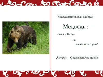 Медведь - символ России» — создано в Шедевруме
