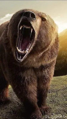 Медведь как символ России. Уважение или русофобия? История звериной  ассоциации - YouTube